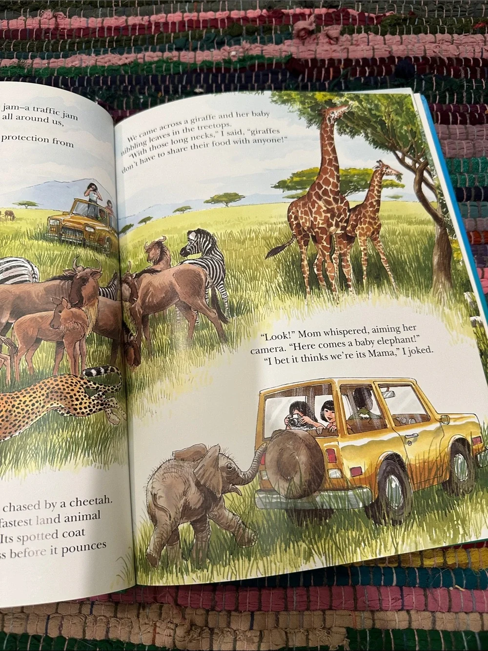 Time Life introduces plants